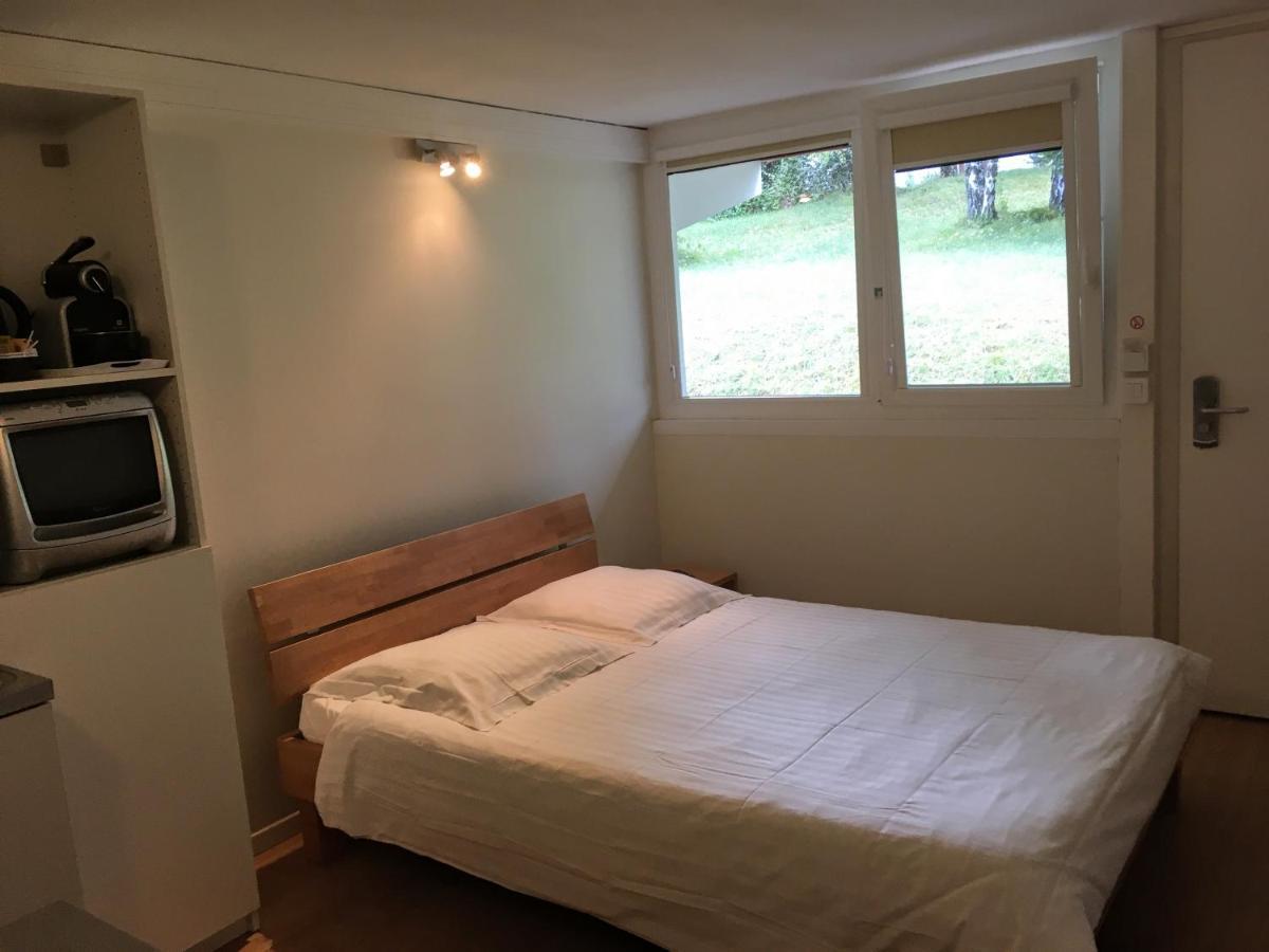 Hotel Pierre Blanche Chatillon-en-Michaille Екстериор снимка